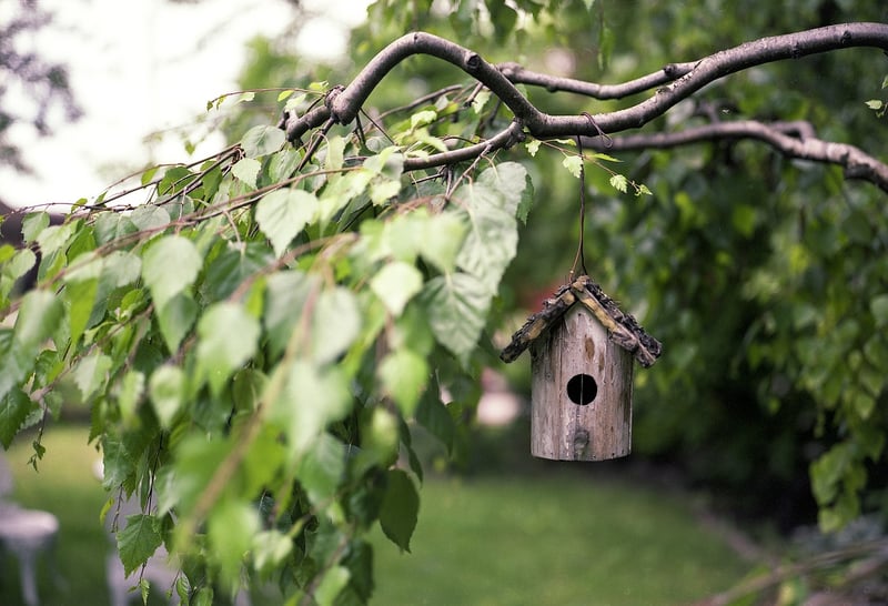 Teacup Bird Feeder