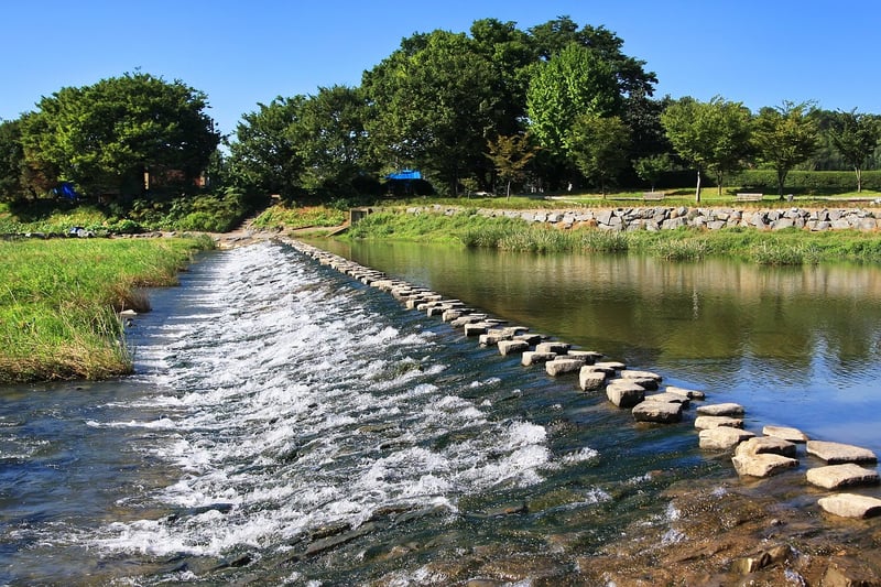 Hand-Painted Stepping Stones